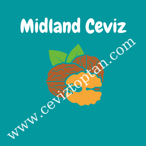 midland Ceviz
